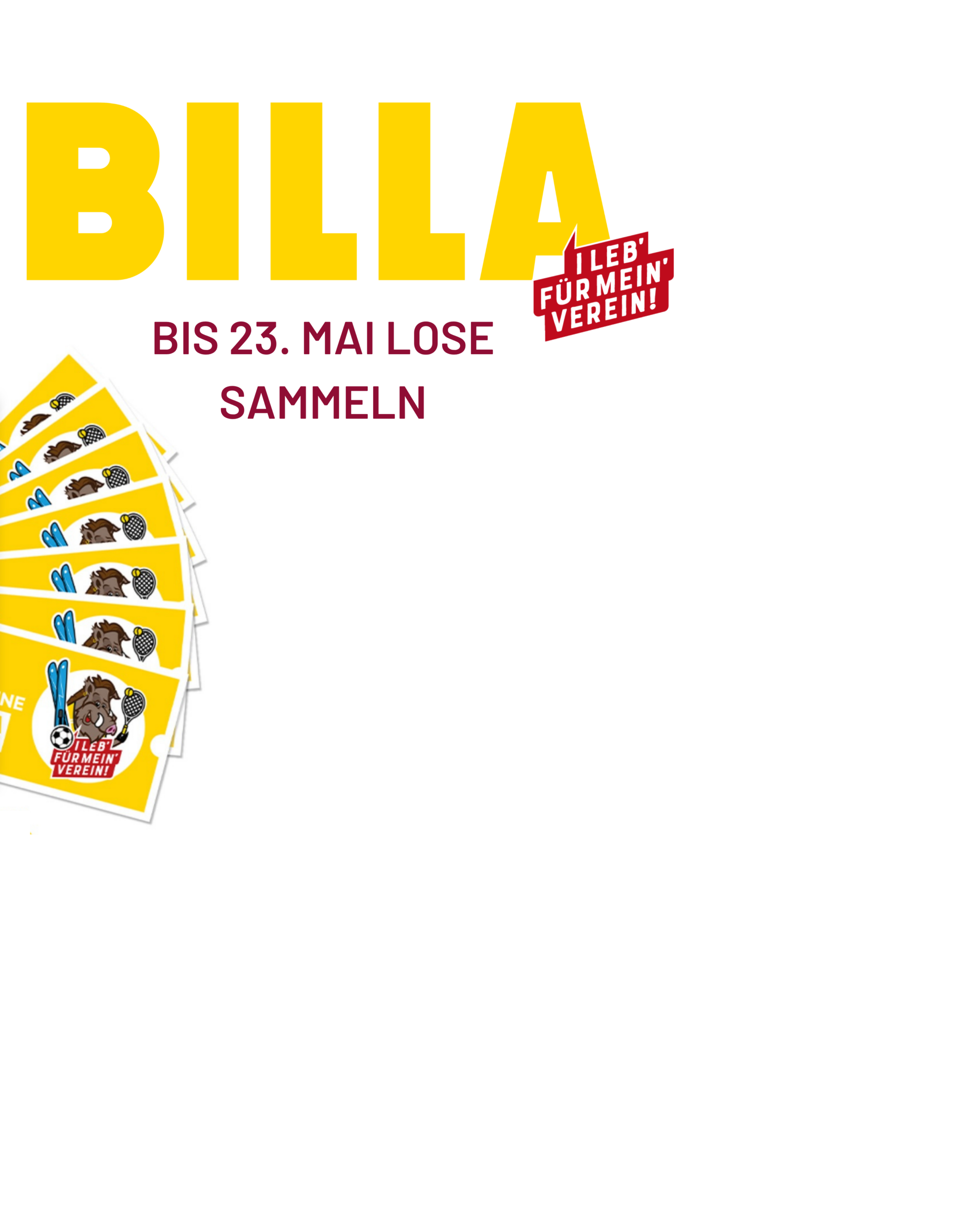 Billa Hochformat (3)
